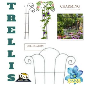 Arch & Trellis
