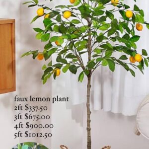 Faux Lemon Plant