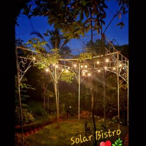 Solar Bistro Lights