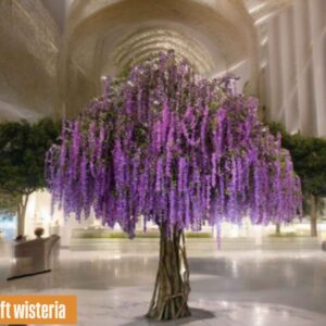 Wisteria Tree
